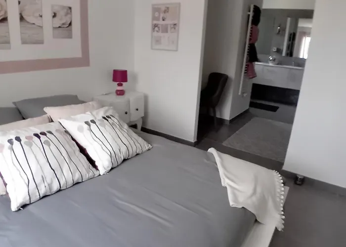 Cosy Avec Piscine Halte Pro Ou Detente * Salindres
